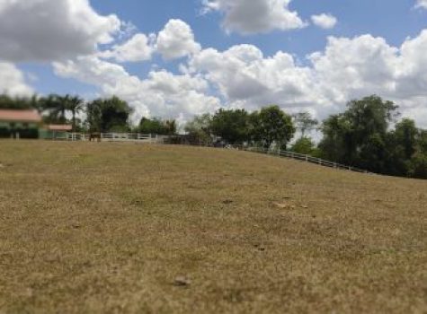 iportofeliz-imobiliaria-porto-feliz-haras-045-1
