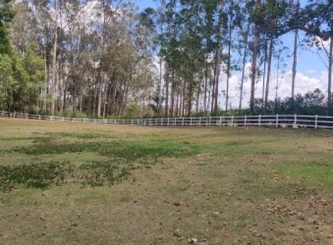 iportofeliz-imobiliaria-porto-feliz-haras-056