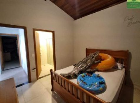 iportofeliz-imobiliaria-porto-feliz-haras-31