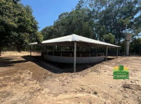 iportofeliz-imobiliaria-porto-feliz-haras-rodovia-marechal-rondon13